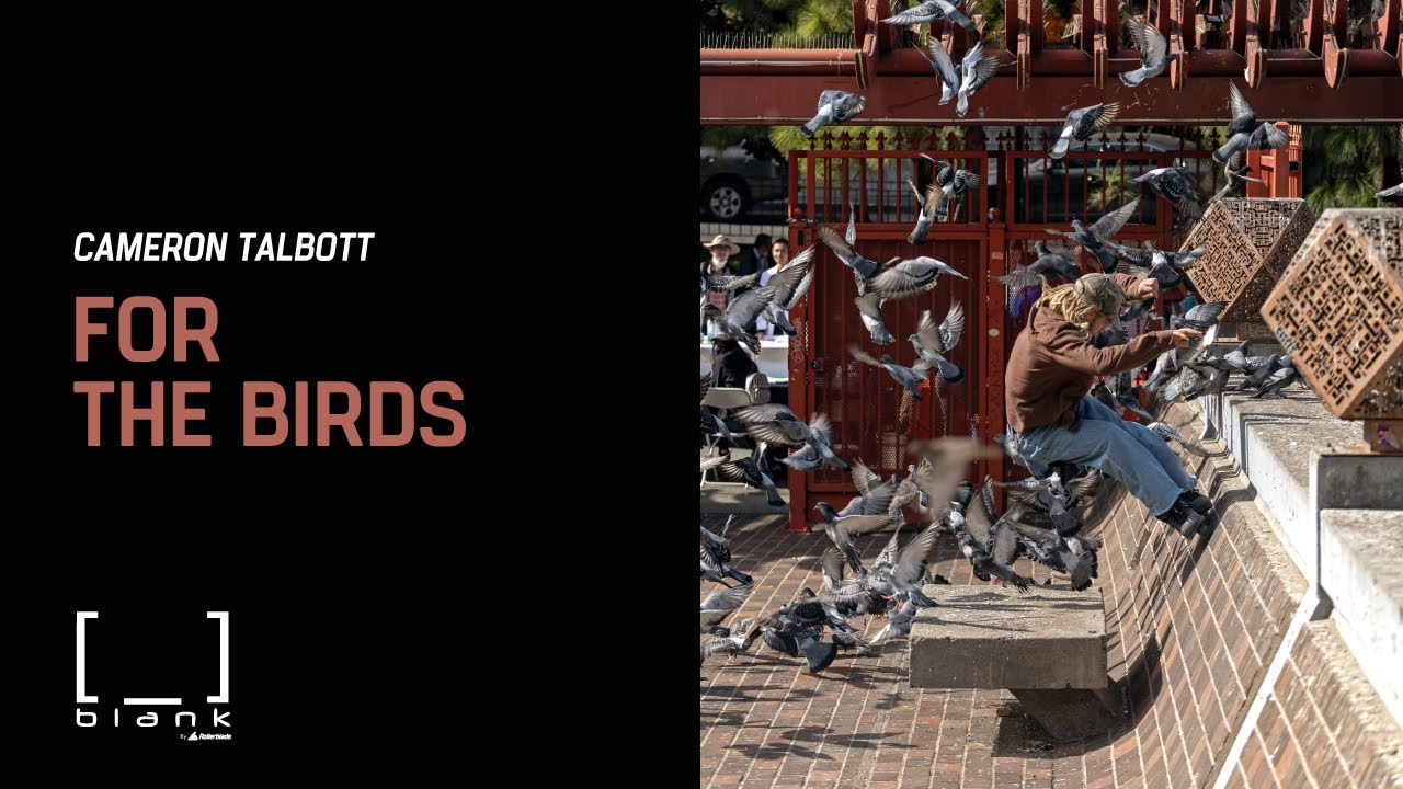 Cameron Talbott - For the Birds