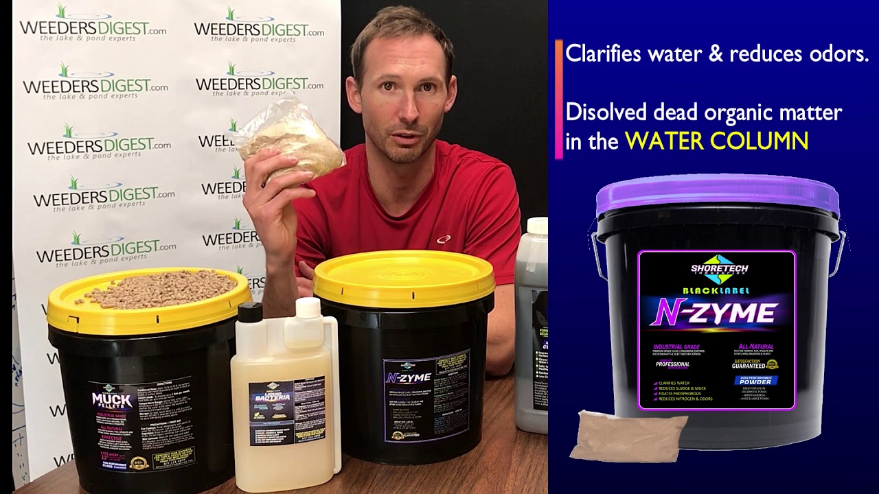 Lake & Pond Bacteria | Pellets VS Powder VS Liquid | Which one to use review