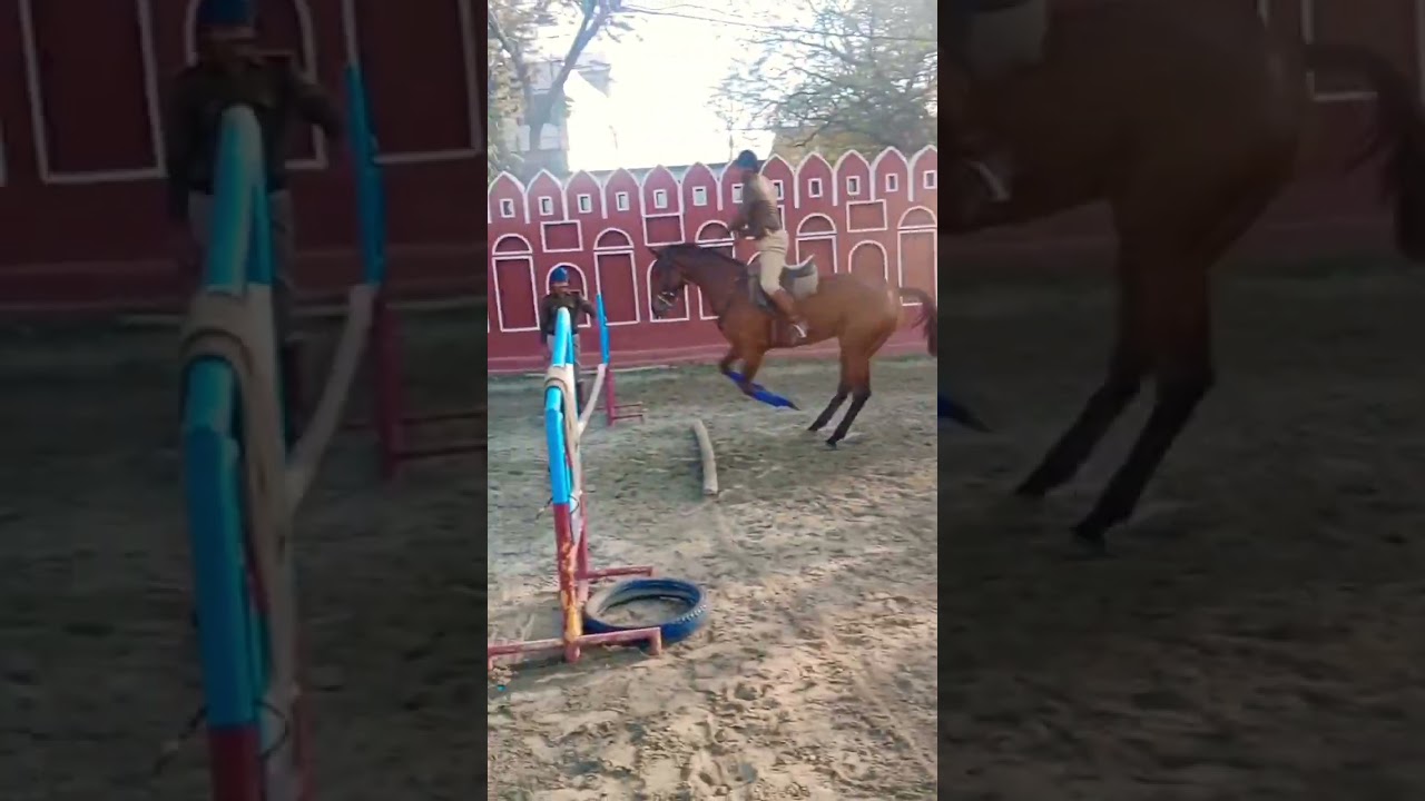 Horse Riding UK POLICE DEHRADUN #horsh #police #dehradun #rider