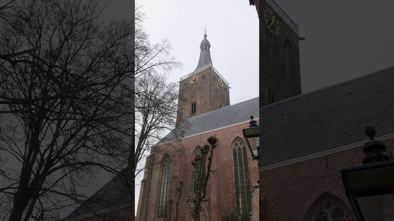 Radar Love, Golden Earring, George Kooymans, Barry Hay: Carillon(computer) Hasselt (NL)