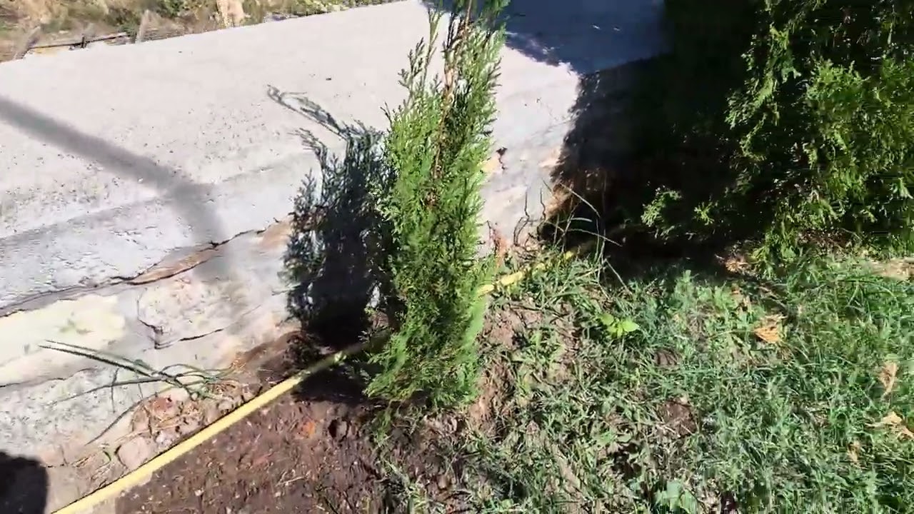 Avtomatsko navodnuvanje na gradina so Parkside tajmer
