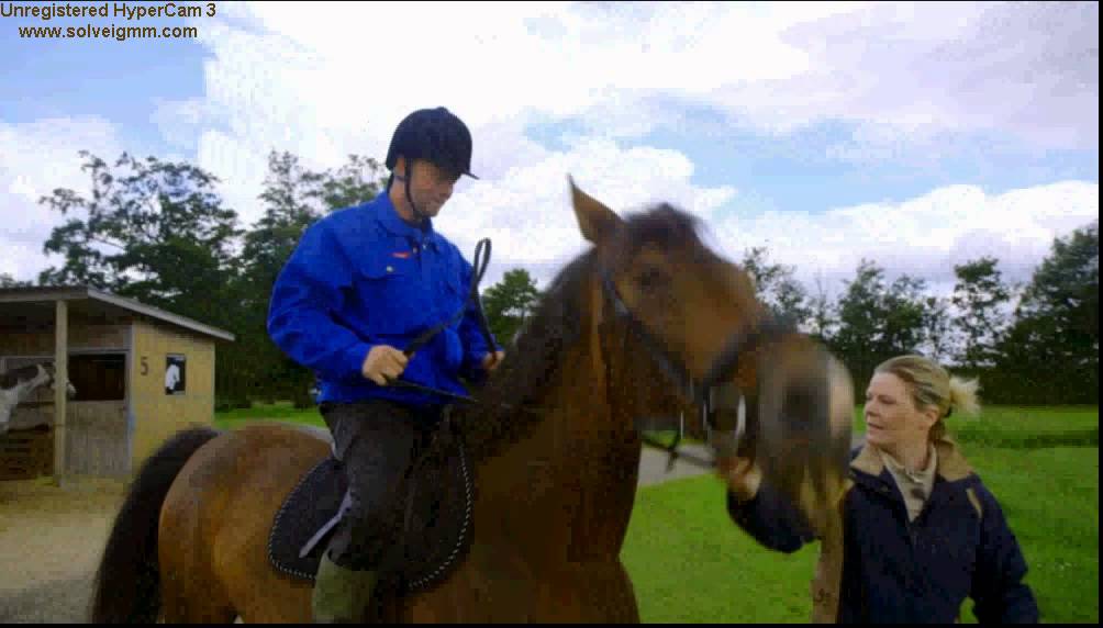 Danmarks bedste bonderøv - Hest