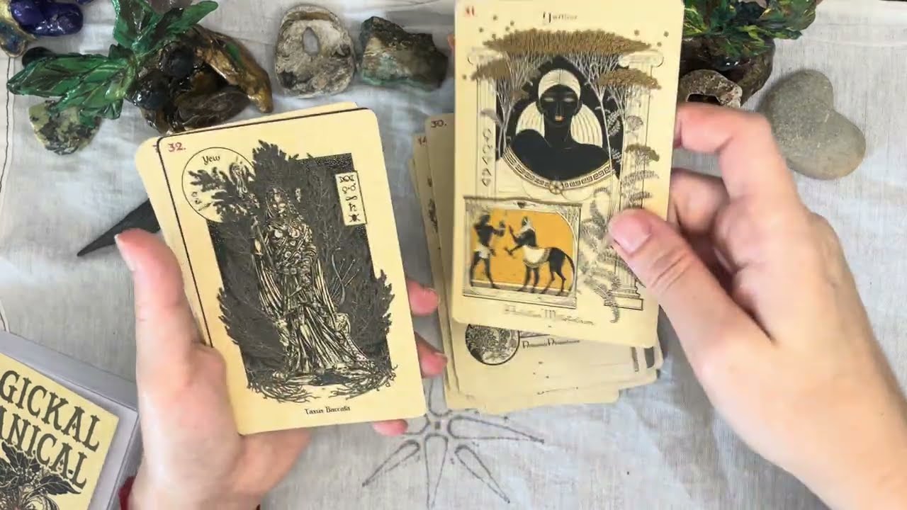 🌸✨Unboxing Magickal Botanical Oracle: ¡Conectando con el alma de las plantas! 🌸✨