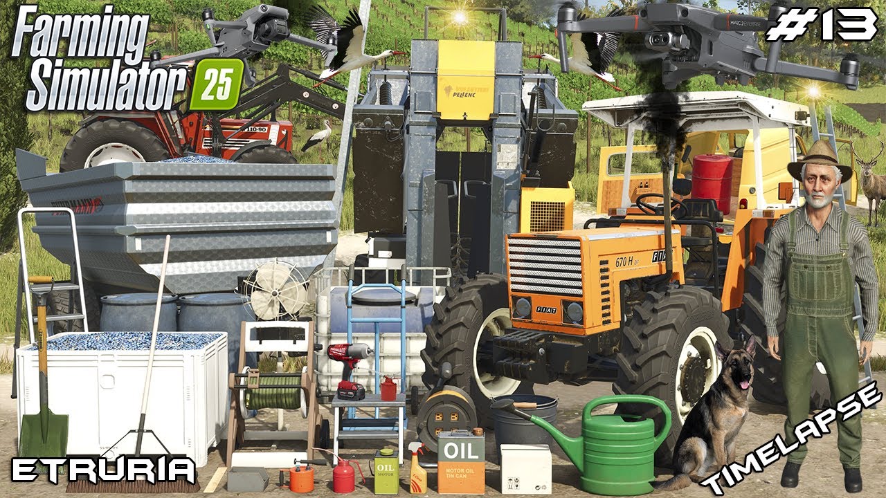 🍇 FIATS TRACTORS WORKING IN VINEYARD - EPIC GRAPE HARVEST 🚜 | ETRURIA | Farming Simulator 25 | EP 13