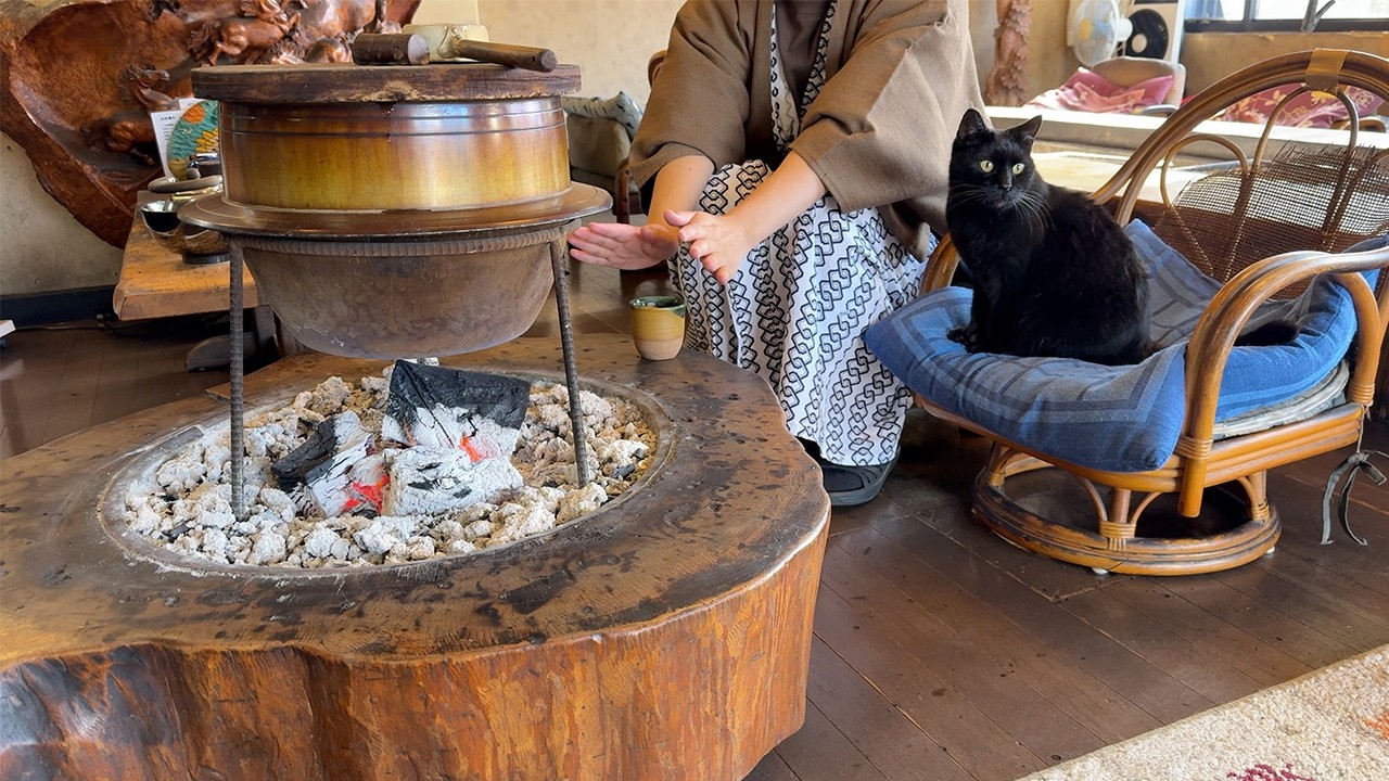Ностальгическое Проживание в Прекрасном Японском Cat Onsen Ryokan!🐈♨︎