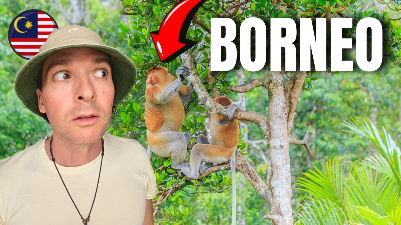 Llegamos al increíble Parque Nacional Bako en Borneo