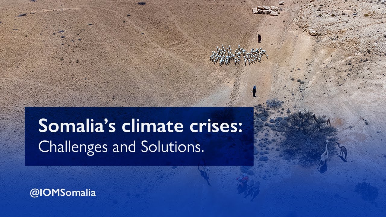 Somalia&rsquo;s climate crises: Challenges and Solutions #worldenvironmentday2023