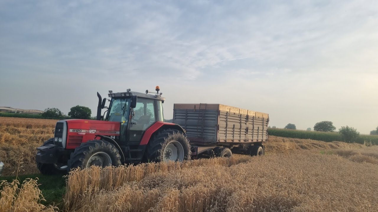Massey Ferguson 8120 |OPEN PIPE| *1st Person Experience