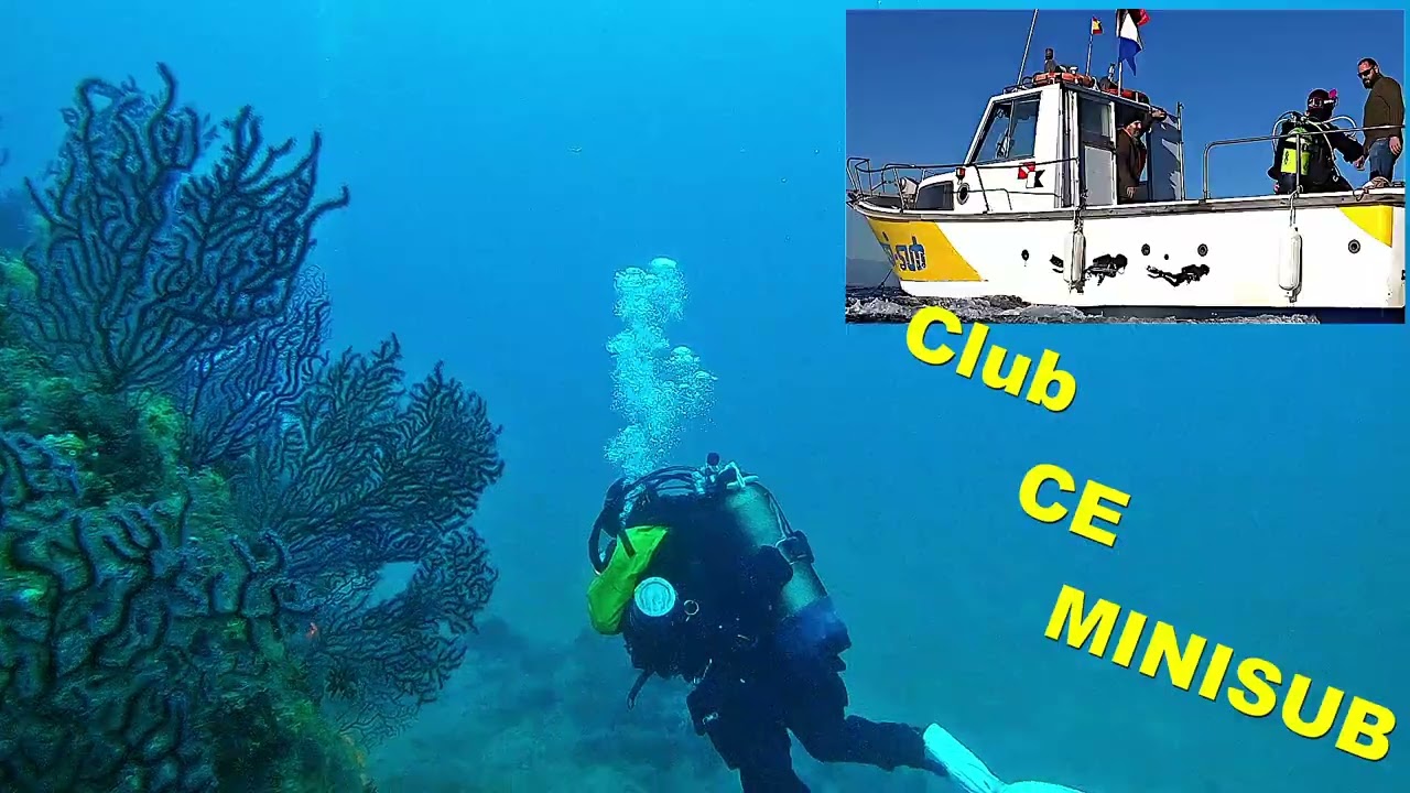 Plongée/Diving/Buceo Cadaques Catalogne Spain 17-03-2024