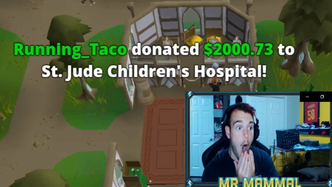2019 Charity Livestream Highlights