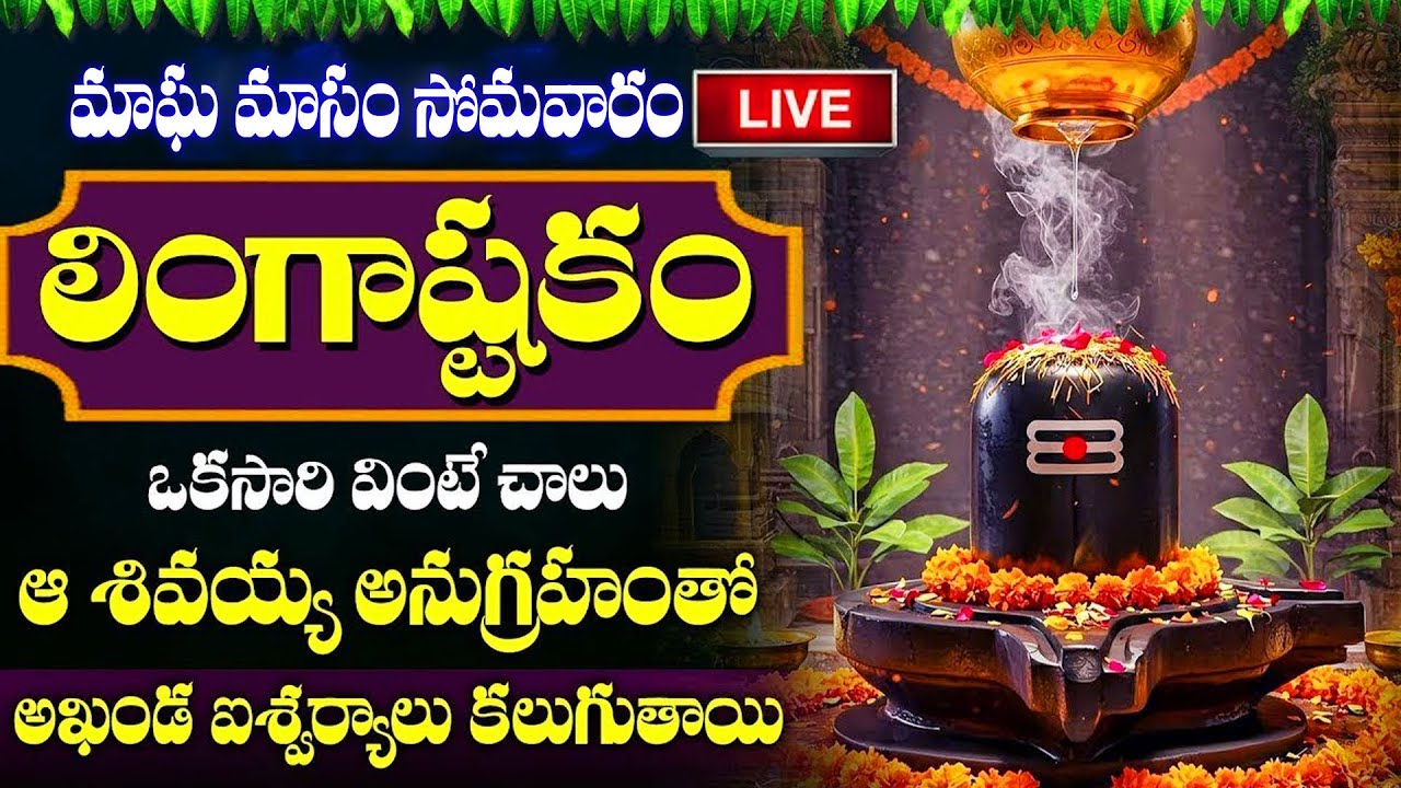 LIVE : మాఘ సోమవారం రోజు లింగాష్టకం వింటే మీ కష్టాలు తీరి సకల సంపదలు సిద్ధిస్తాయి | Lingashtakam 2026
