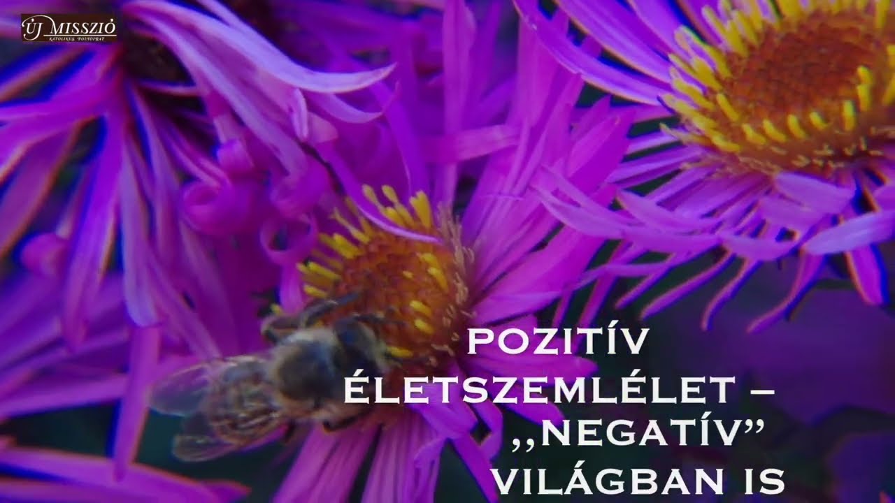 Pozit&iacute;v &eacute;letszeml&eacute;let ,,negat&iacute;v