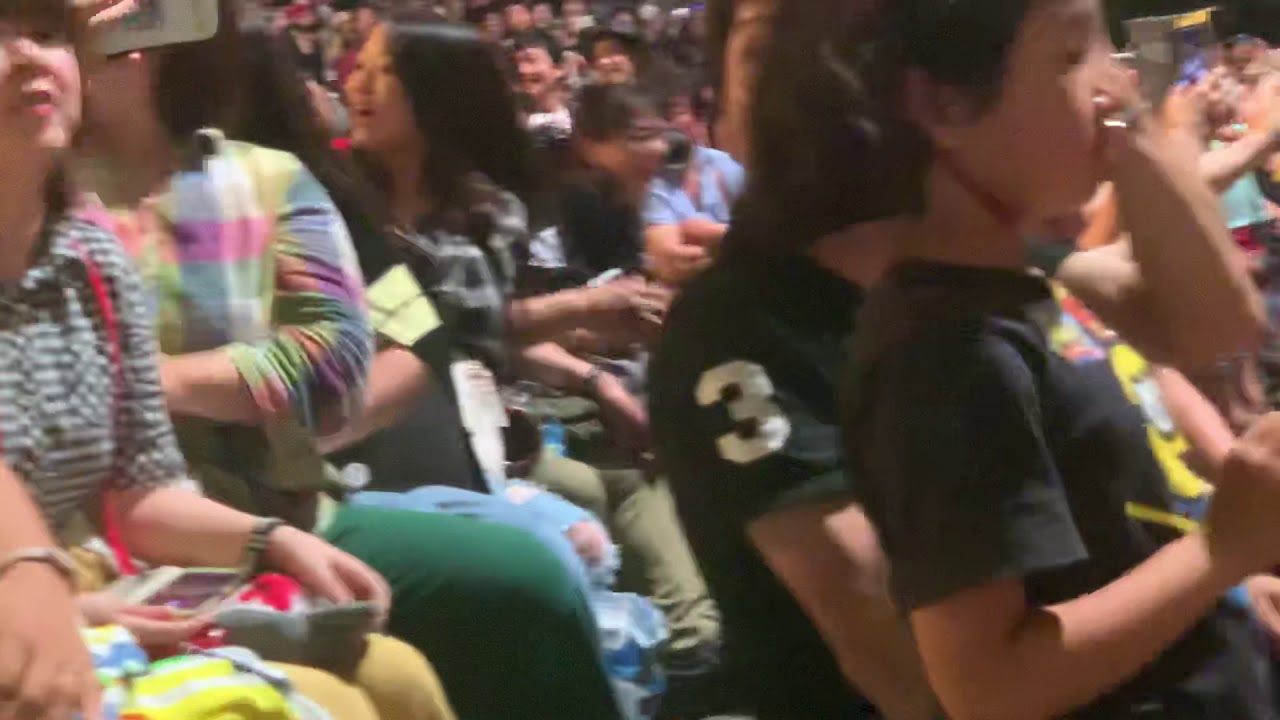 One Piece Premier Show 2019