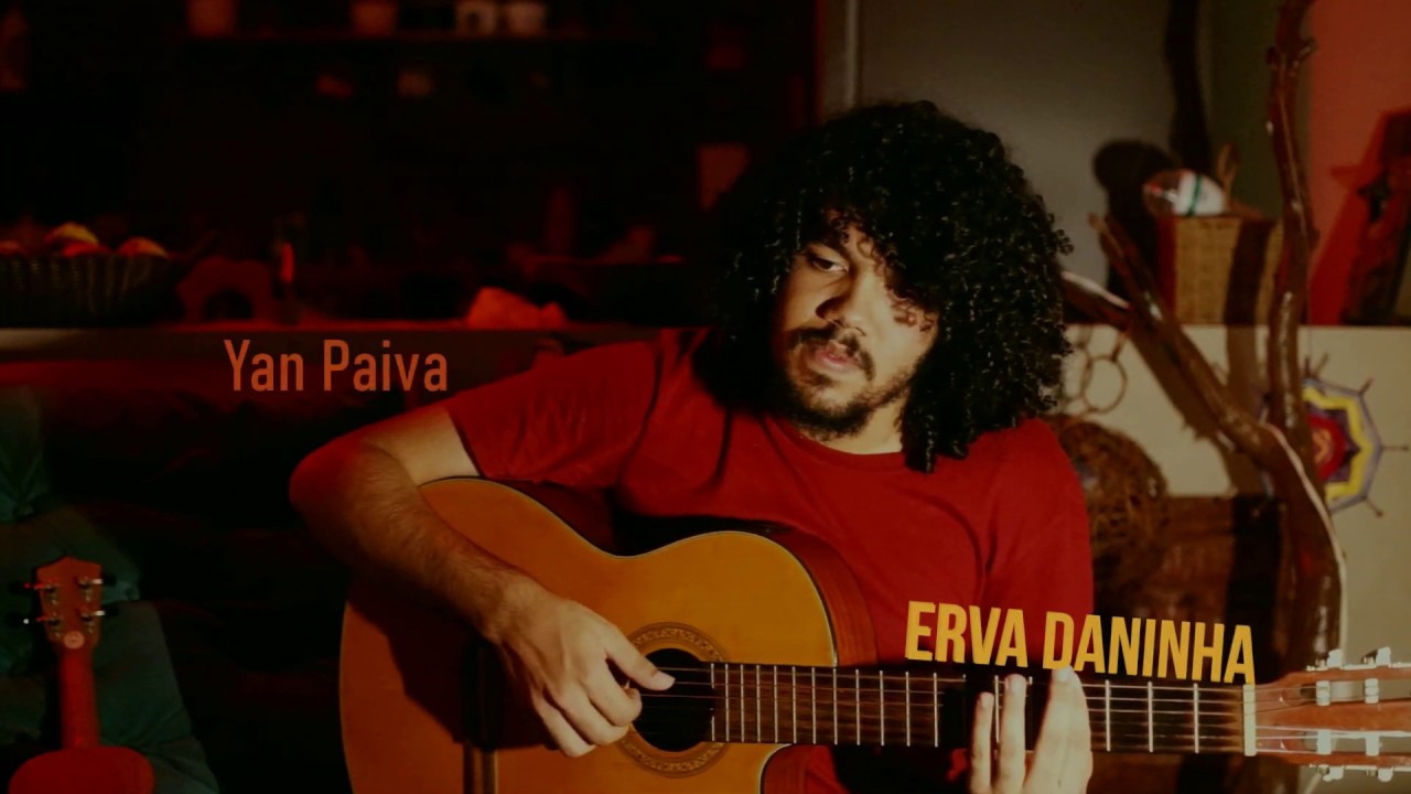 Erva daninha || YAN PAIVA | c&aacute; em casa
