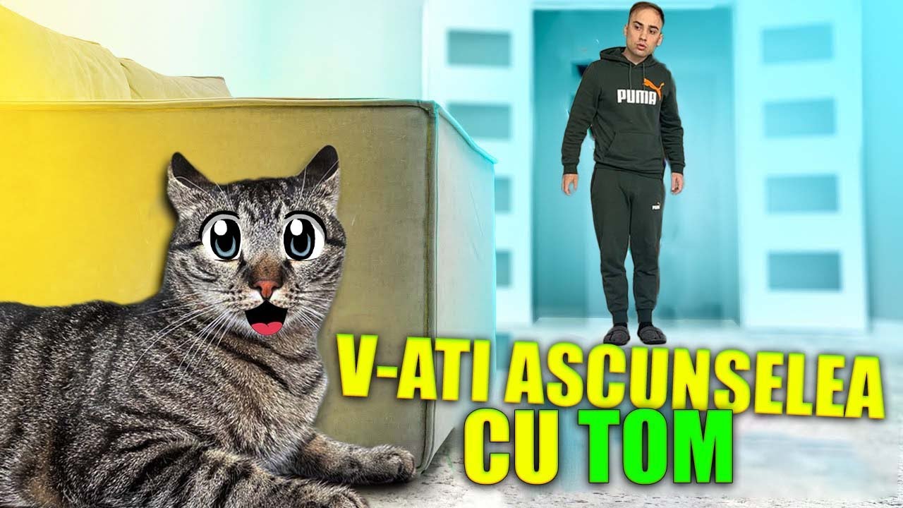V-ați ascunselea cu Motanul Tom