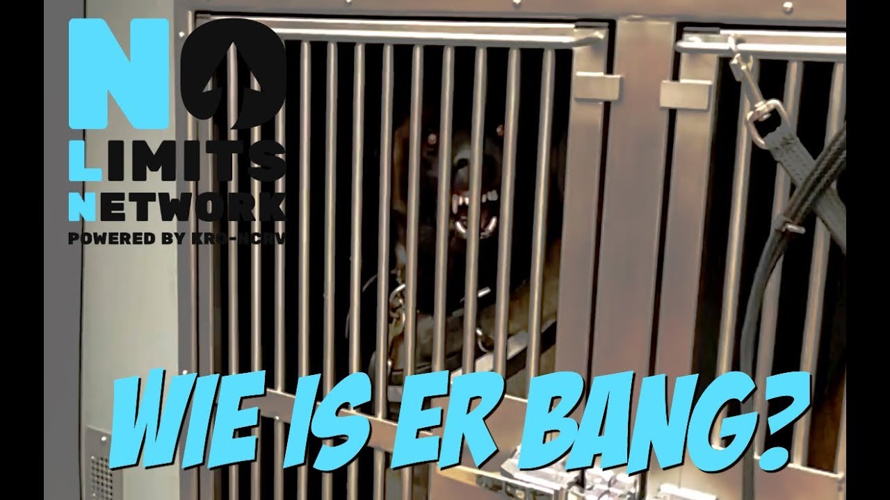 DE ANGSTBAAS: HOE HET BEGON - ACHTER DE SCHERMEN #01