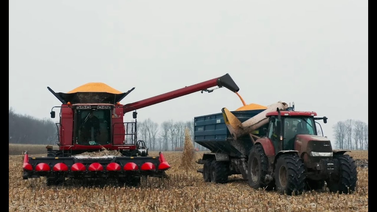 Презентація комбайну Case IH Axial-Flow 6150 на полі ТОВ 