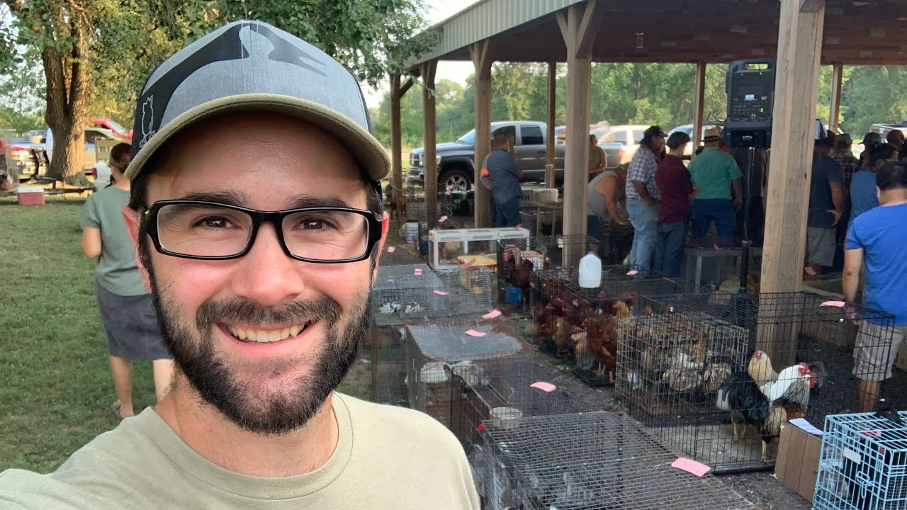 Great Deals at the Animal Auction!!!