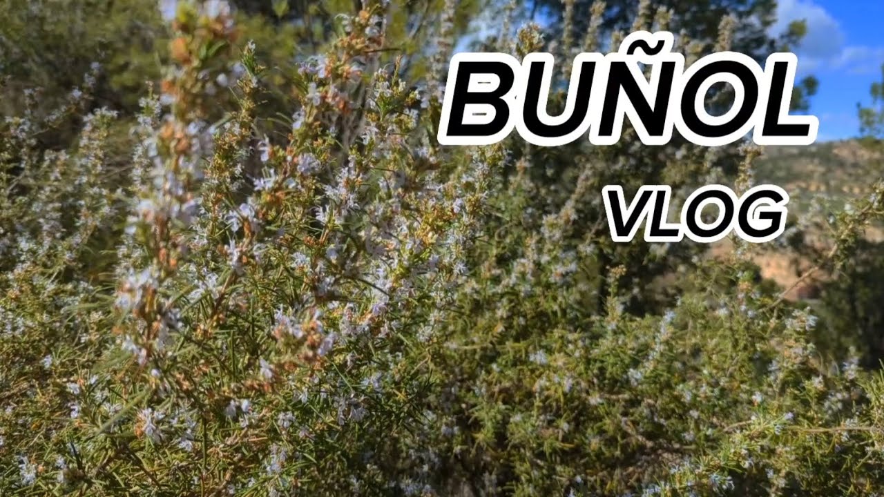 Bu&ntilde;ol vlog: хайкинг с собакой