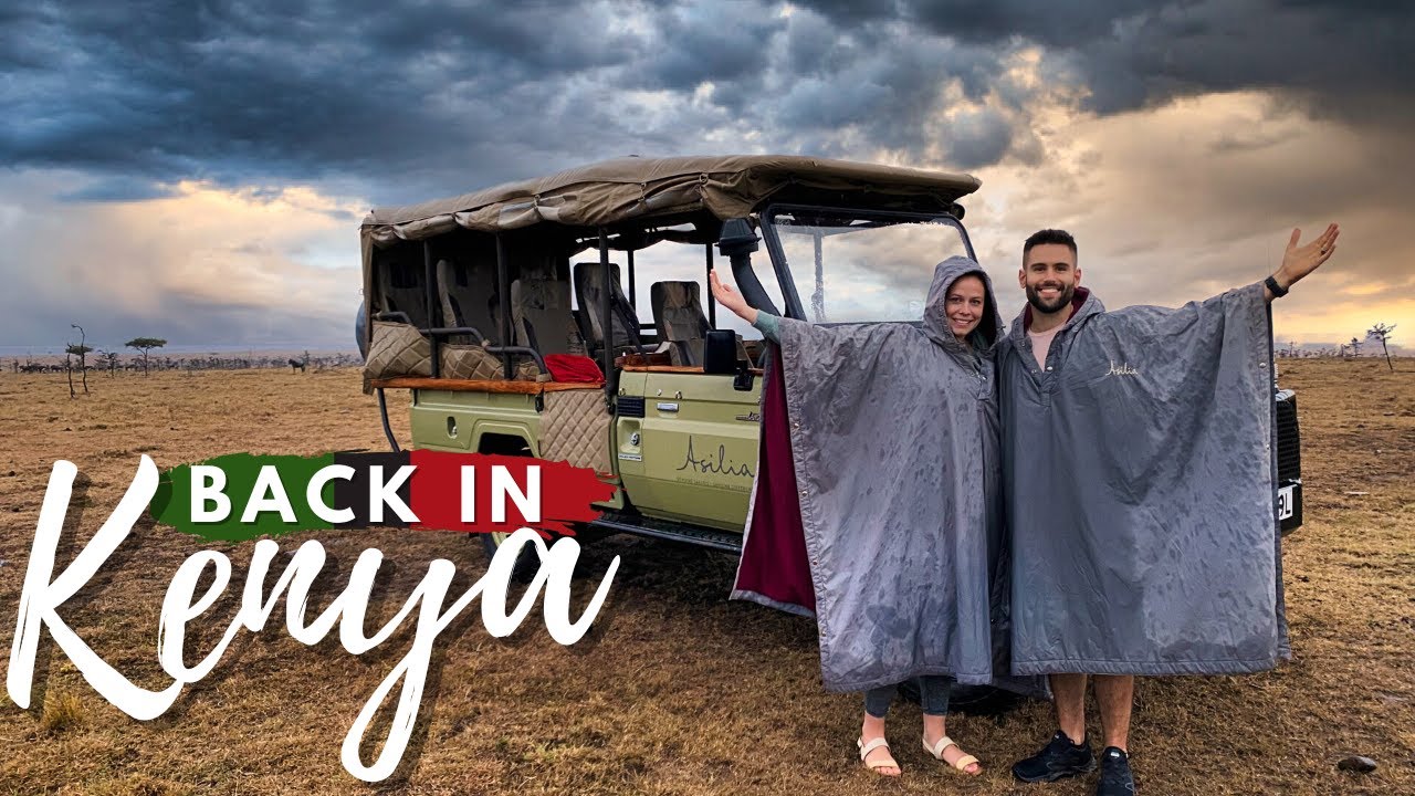 Первое сафари года / Больше львов, чем когда-либо