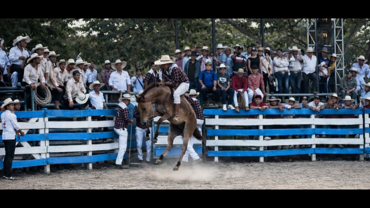 RODEO MONTUBIO ACCIDENTES Y EMOCIONES, Los Mejores Jinetes del Pa&iacute;s en un Solo Video Extremo 