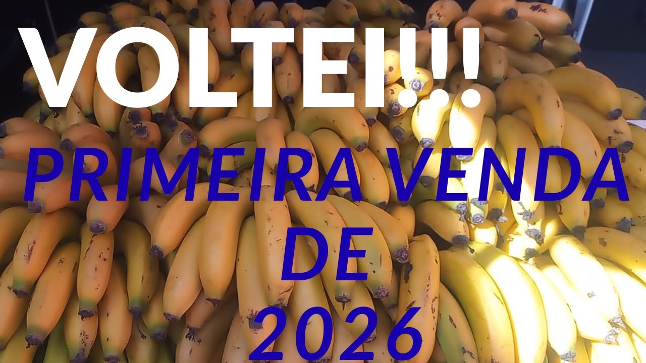 Primeira Venda de Bananas de 2026