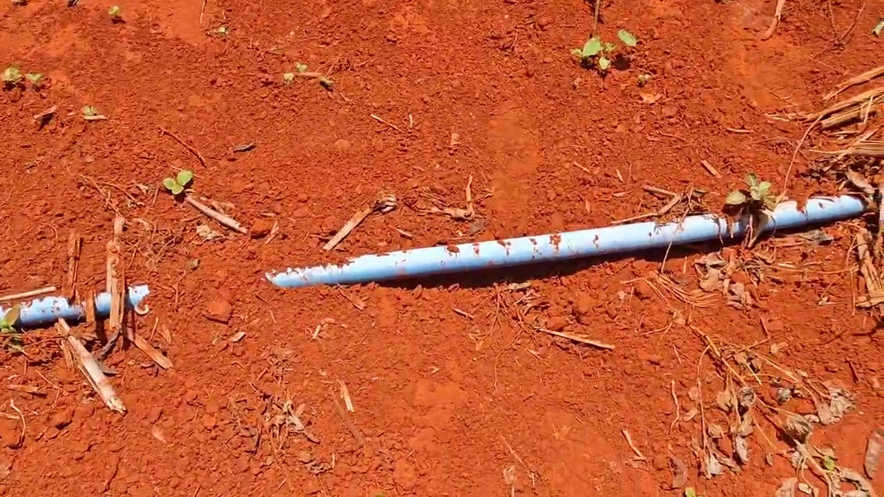Arrumando o Sítio para  polda a ponha