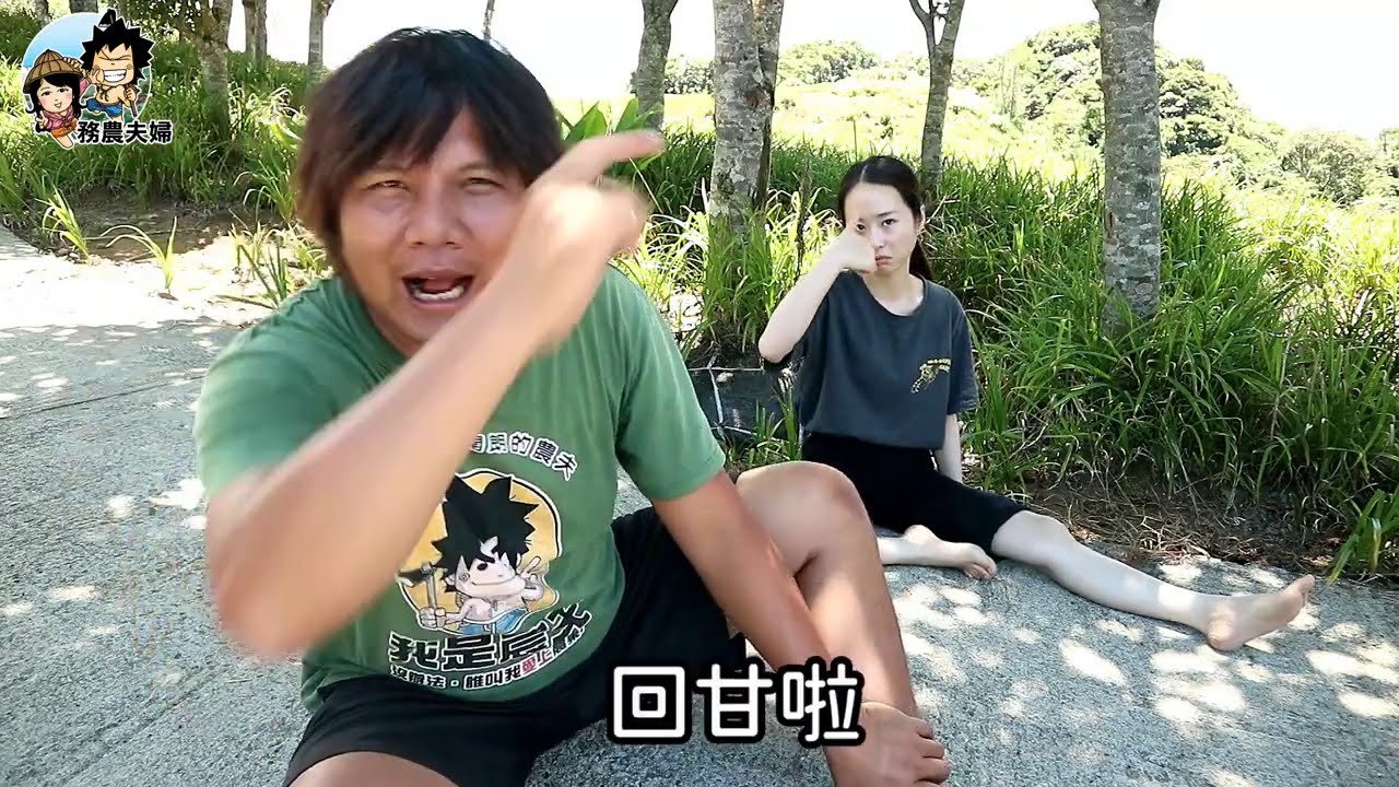 【務農夫婦】第142篇【"狂推"花蓮赤柯山的好茶好料好風景】