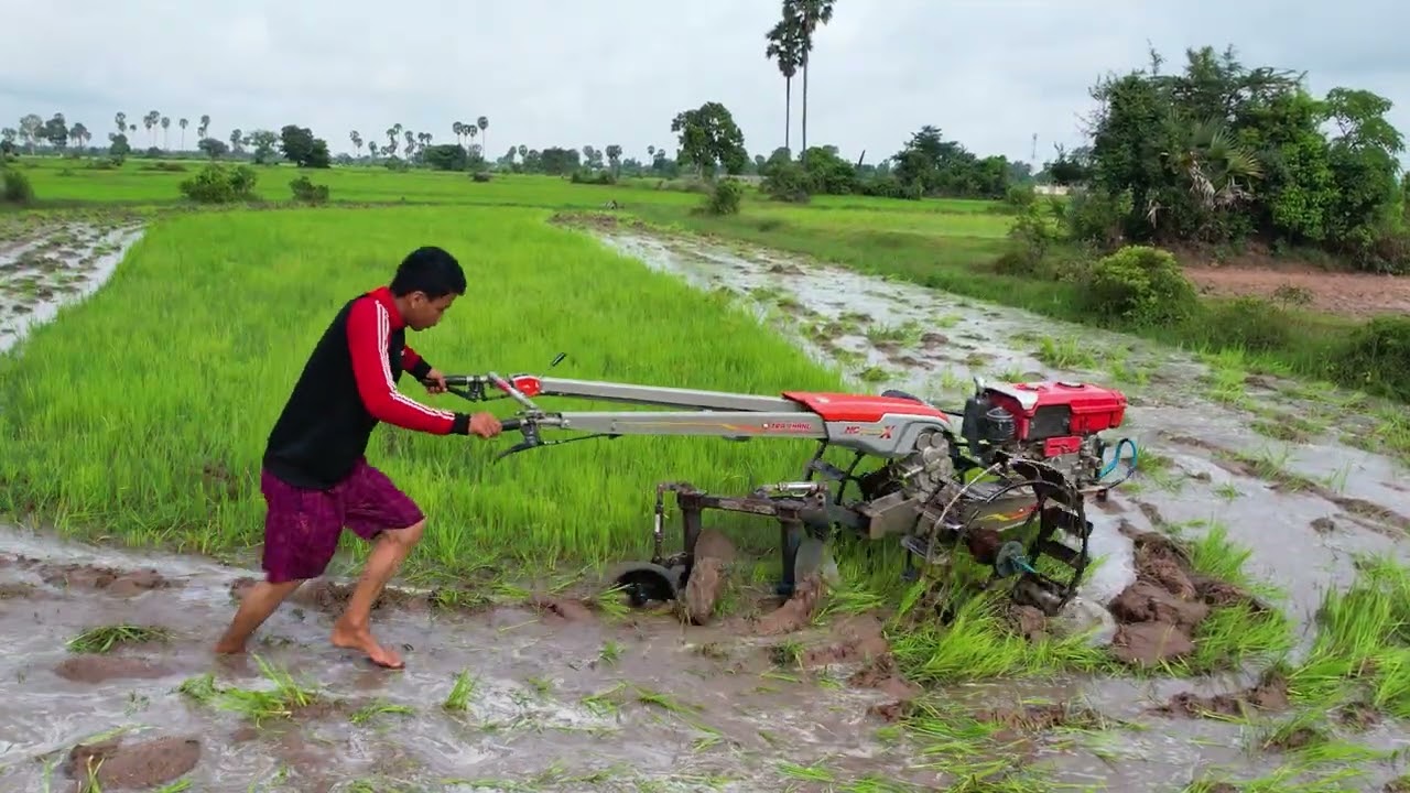 Amazing Farmer tactor khmer,kubota rt 155 plus plow the field  