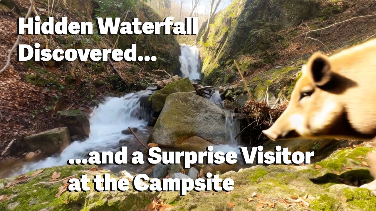 Hidden Waterfall Discovered… Then a Wild Boar Crashed My Camp