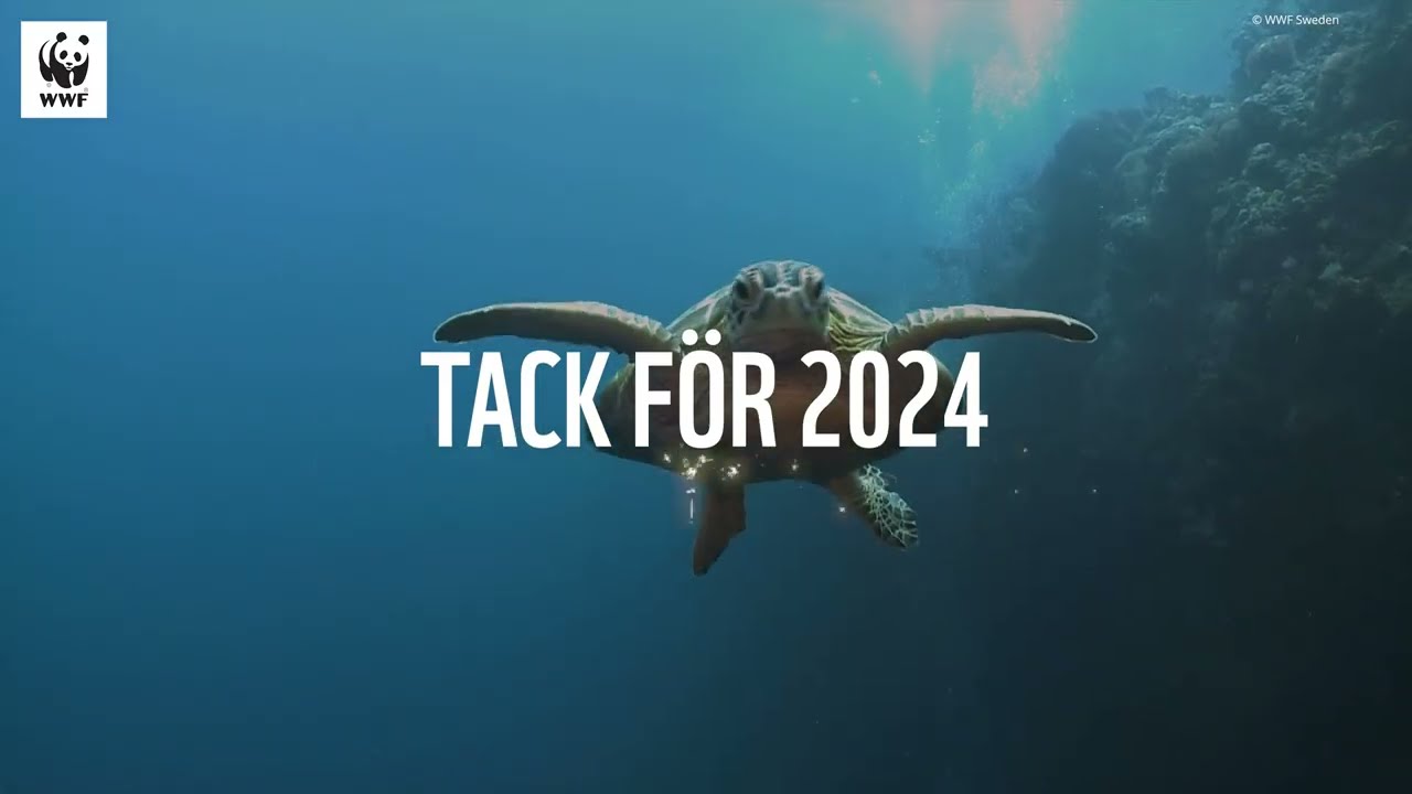 TACK FÖR 2024 💫