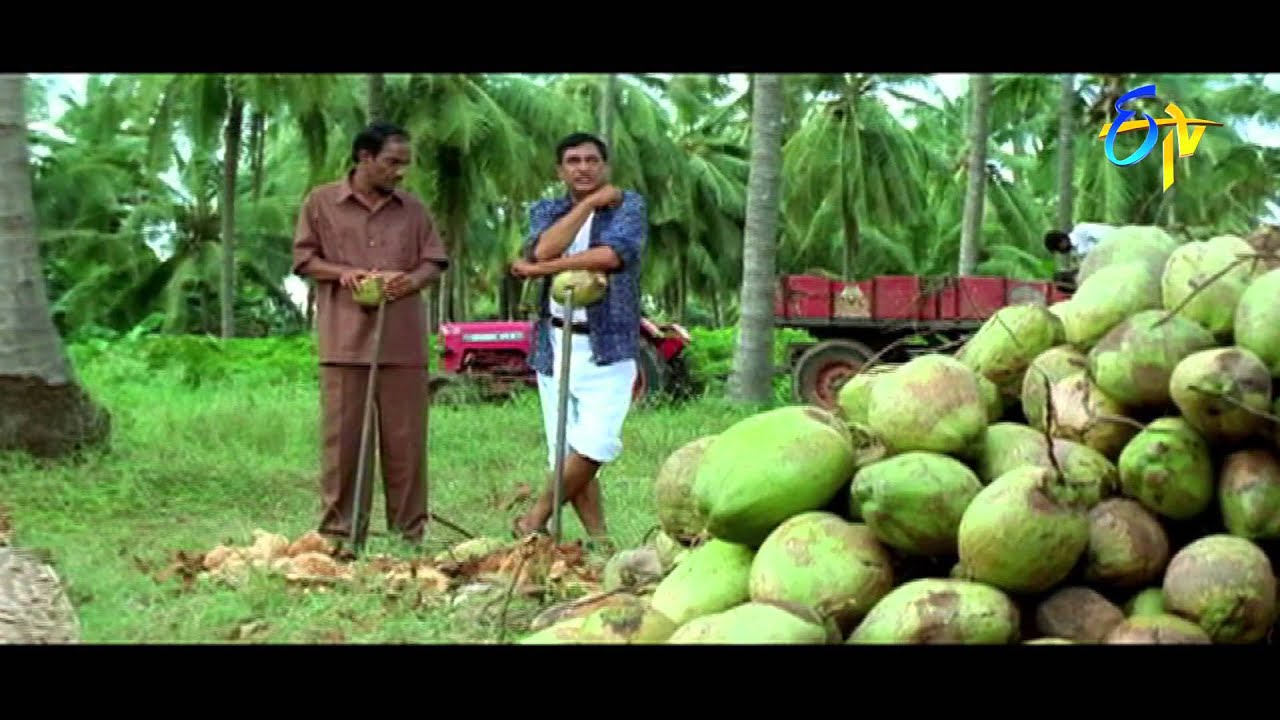 Jabardasth Masti - Anandamanandamaye - Master Bharat and Venu Madhav Super Comedy Scenes