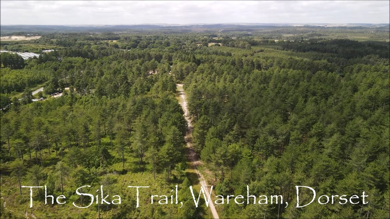 The Sika Trail, Wareham, Dorset UK