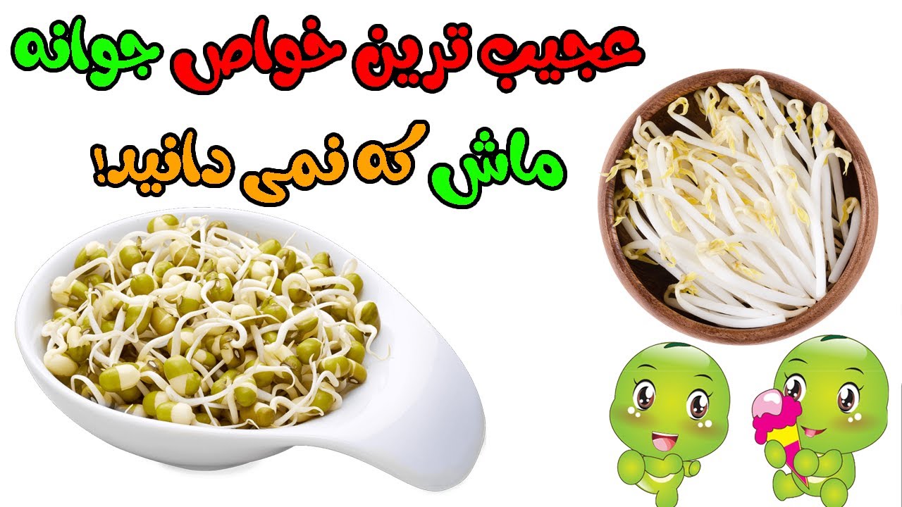 خواص جوانه ماش | 15 خاصیت بی نظیر جوانه ماش برای سلامتی
