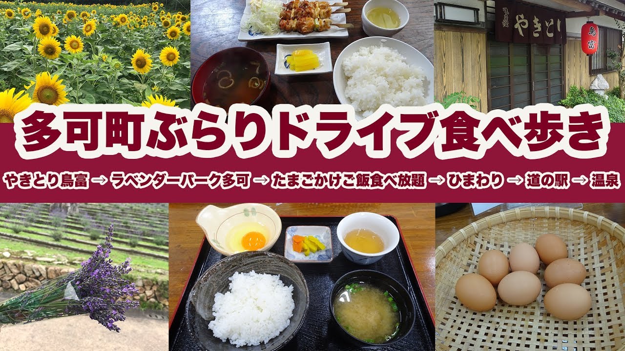 【多可町ぶらりドライブ食べ歩き】播州百日鶏 焼鳥 → ラベンダー → たまごかけご飯 →ひまわり → 道の駅 → 温泉【焼鳥 鳥富・ラベンダーパーク多可・ごはん亭・杉原紙の里多可・春蘭荘】