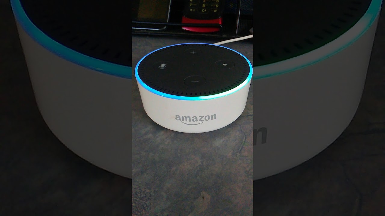 Asking Alexa some funny questions part 2