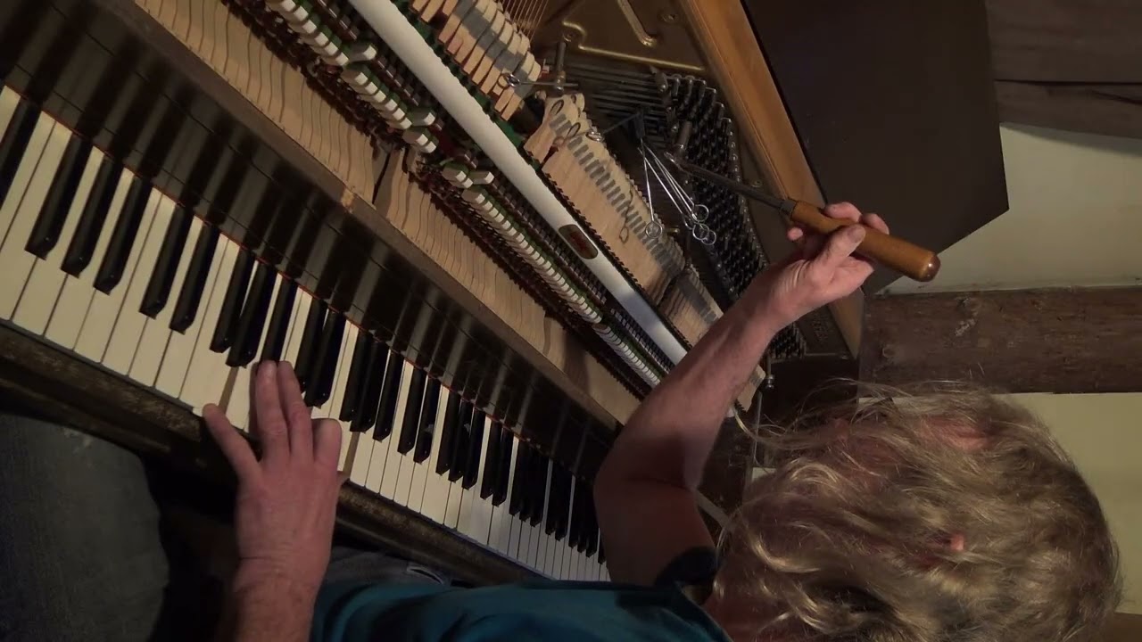 Fearless piano tuning.  Trying to custom-tune my piano.
