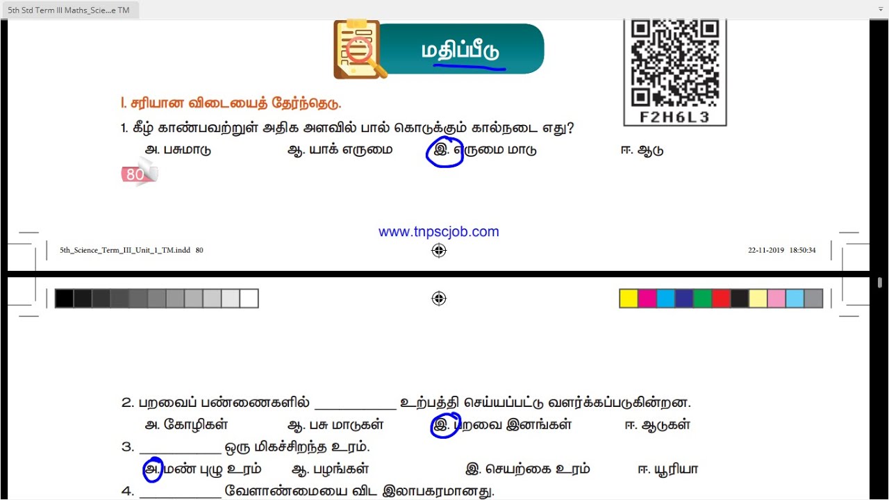 நமது சுற்றுச் சூழல் - மதிப்பீடு - UNIT 1 - TERM 3 - அறிவியல் (SCIENCE) - 3RD STD - TAMIL MEDIUM