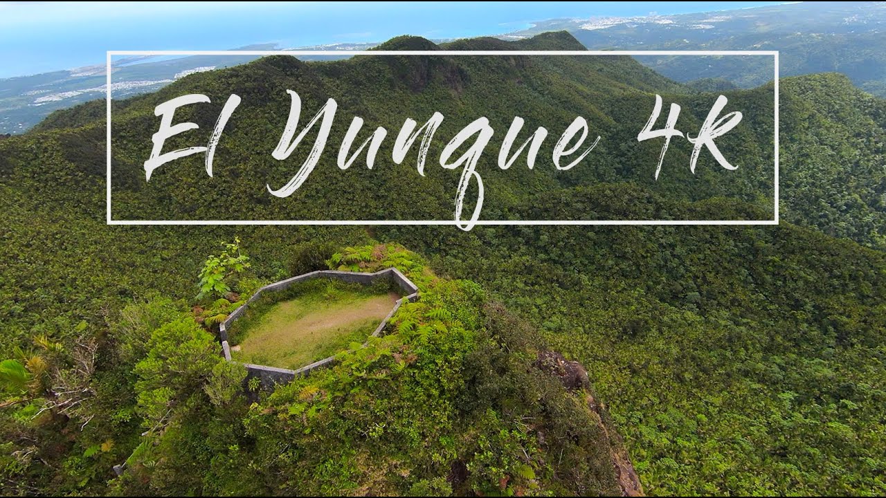 El Yunque Puerto Rico 4K - DJI FPV