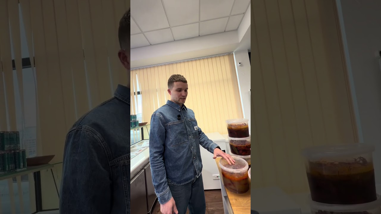 Самая крупная доставка раков🦞в Германии 🇩🇪Раки как дома - по всей Германии