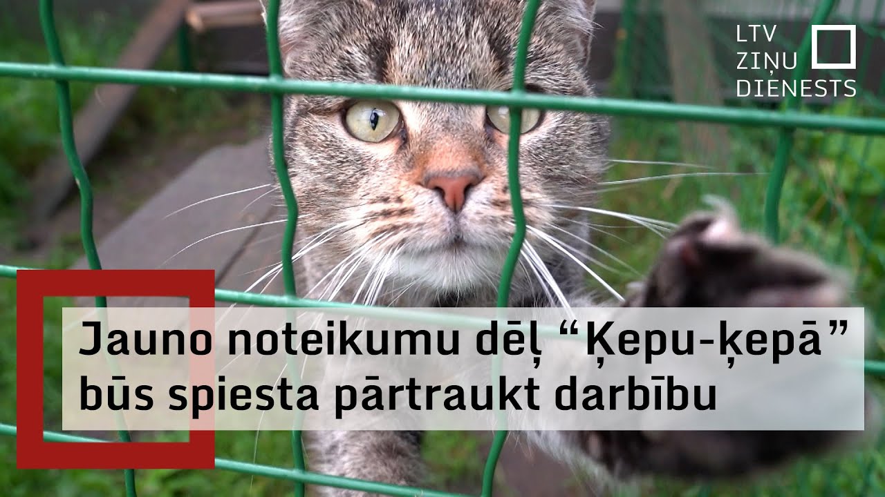 “Ķepu-ķepā” spiesta pārtraukt darbību, nespējot izpildīt valdības jaunos noteikumus