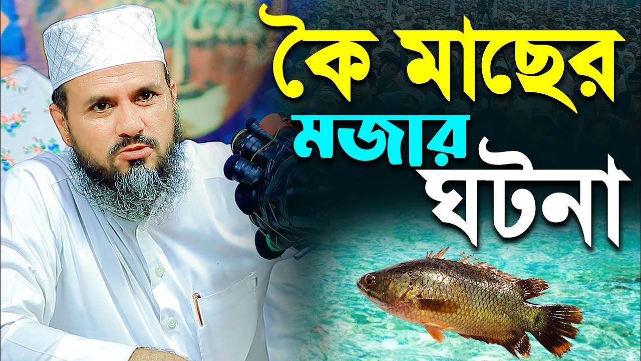 কৈ মাছের মজার ঘটনা । মাওলানা মোশতাক ফয়েজী ।। Mawlana Mustak Foyzi । Muslim Waz