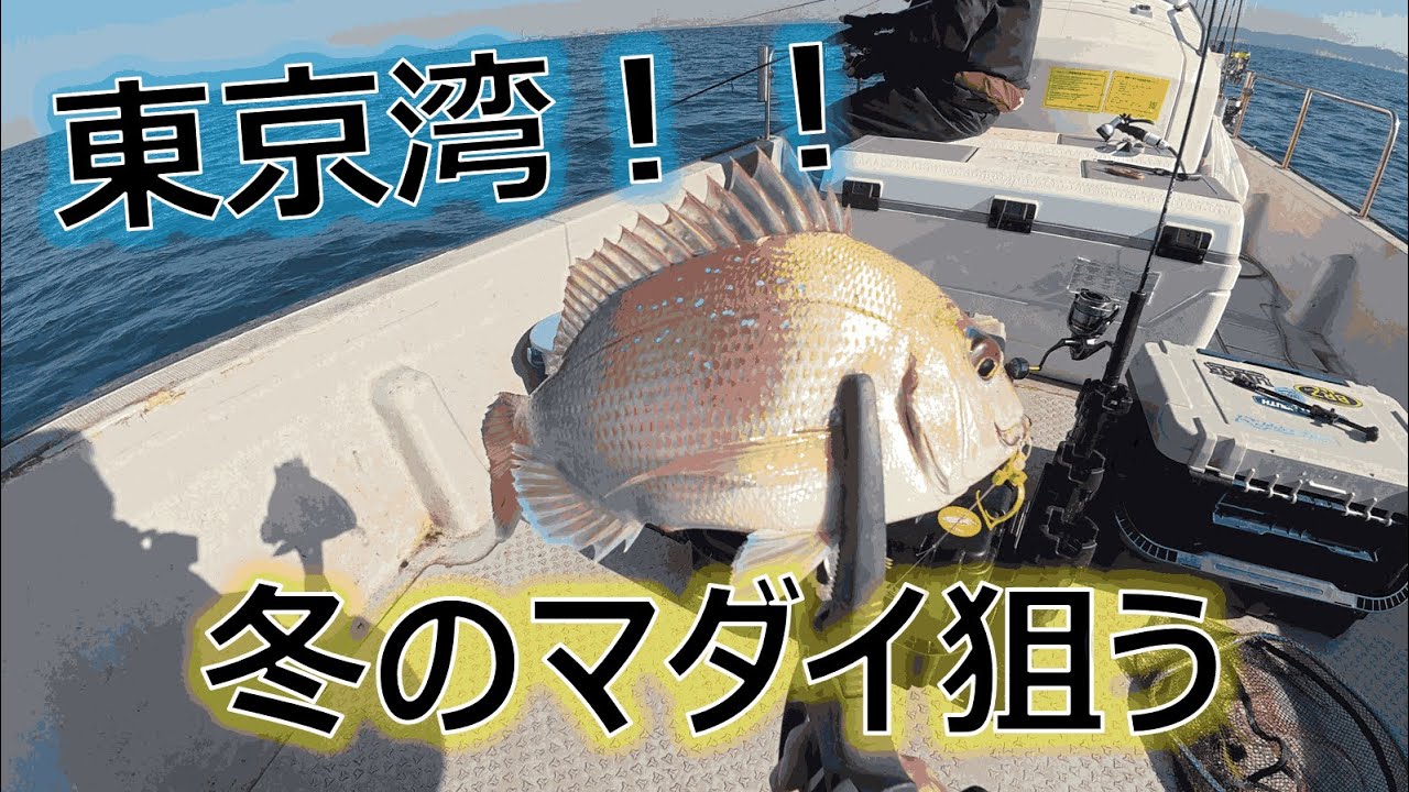 【東京湾】タイラバで癒された 1月 シーバスもちょこっと