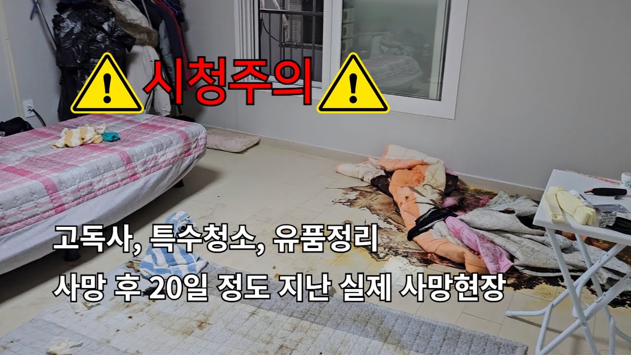 ⚠️시청주의⚠️ 실제 고독사 현장, 고인 유품정리, 특수청소, 유품소각 전문 효천사 1811-0202