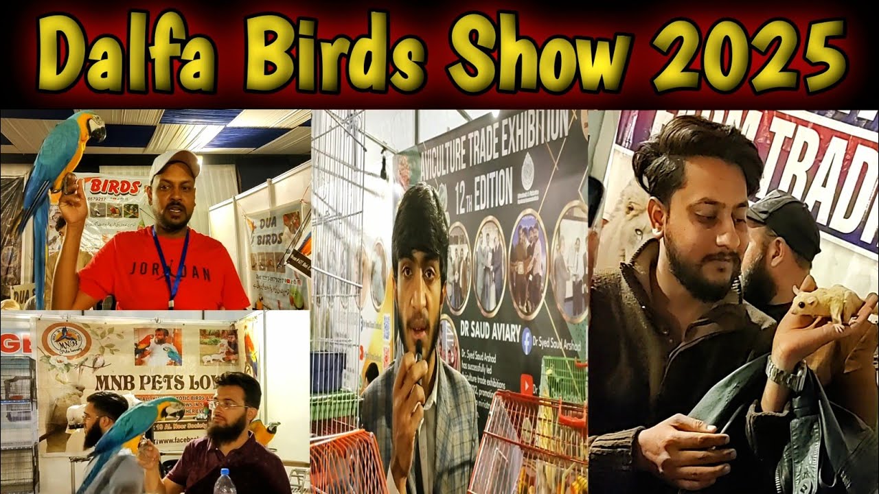 Dalfa Birds Show 2025|Dalfa Cattle Show 2025|Expo Centre Birds Exhibition|Global Birds Lovers #dalfa