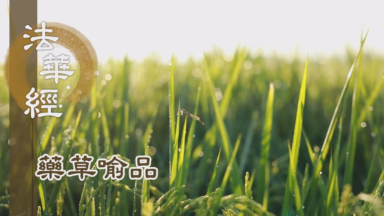 【靜思妙蓮華】法華經藥草喻品 - 說法度生 終不疲厭 - 20210723 第911集