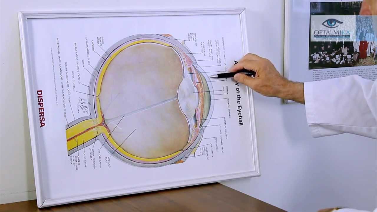 Laserowa korekcja wzroku - www.oftalmika.pl