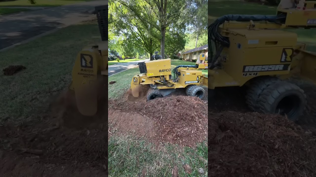 Dedicated Full Time Stump Grinder #jakefromstumpfarm #stumpgrinding #stumpremoval #rg55 #stumpwork