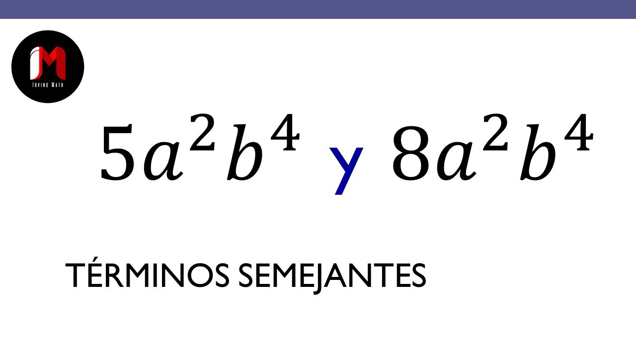 Términos Semejantes: Explicación