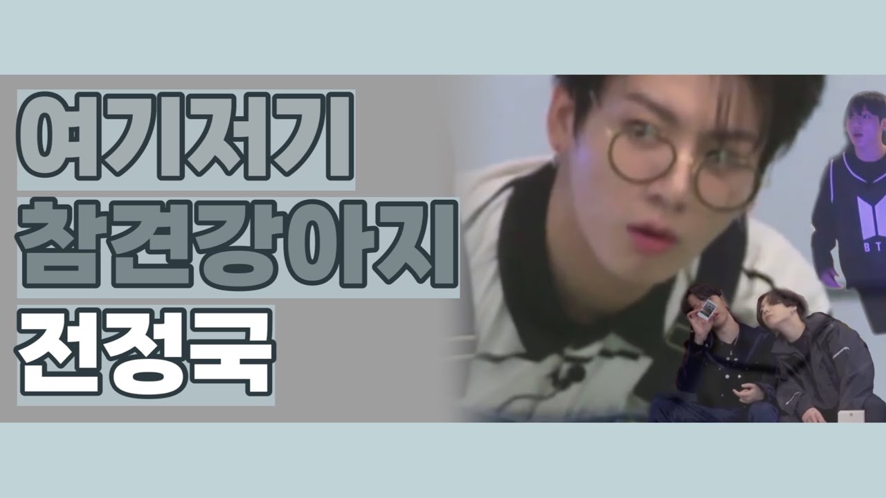 [방탄소년단/정국] 정국이의 형들 조아 참견강아지 모먼트